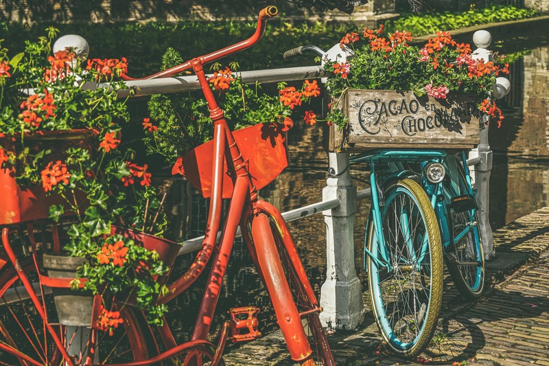 jardin culture en pots