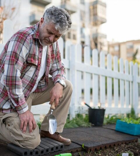 jardin urbain